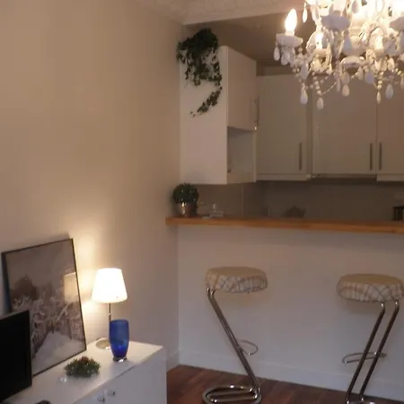 Champs Elysees Luxe Flat Apartment *