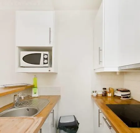 Champs Elysees Luxe Flat Apartment