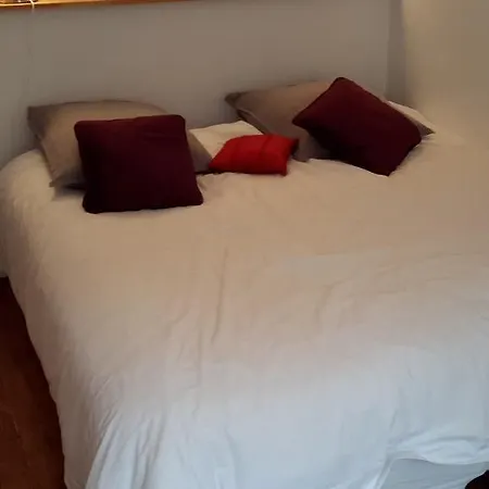 Champs Elysees Luxe Flat Apartment Paris